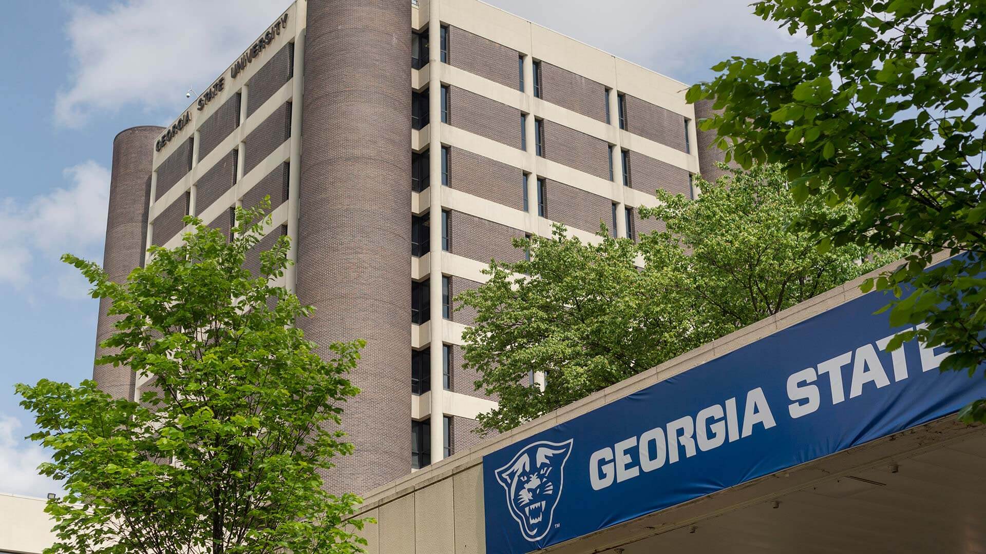 Georgia State Building