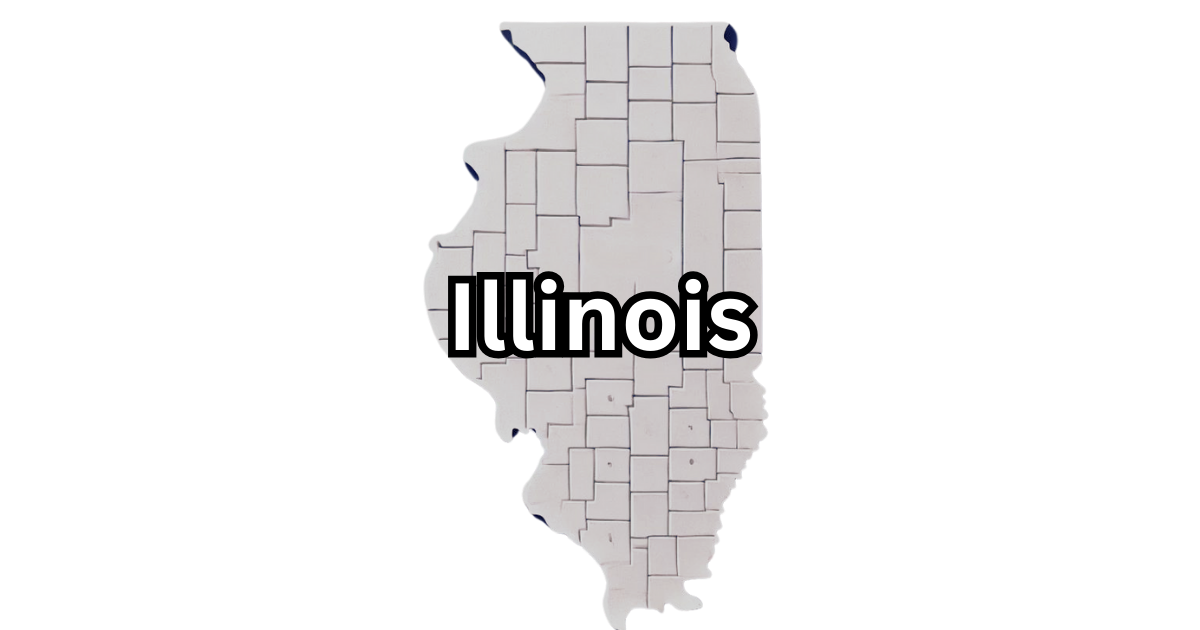 How much does an LLC cost in Illinois? (details)