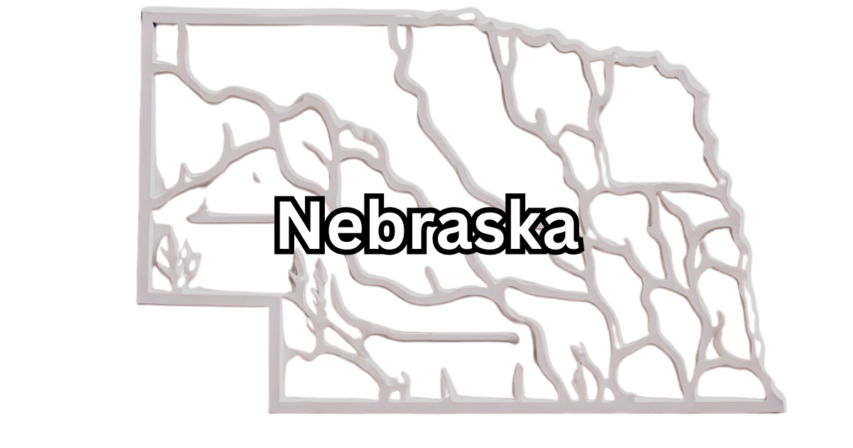 How much does an LLC cost in Nebraska? (details)