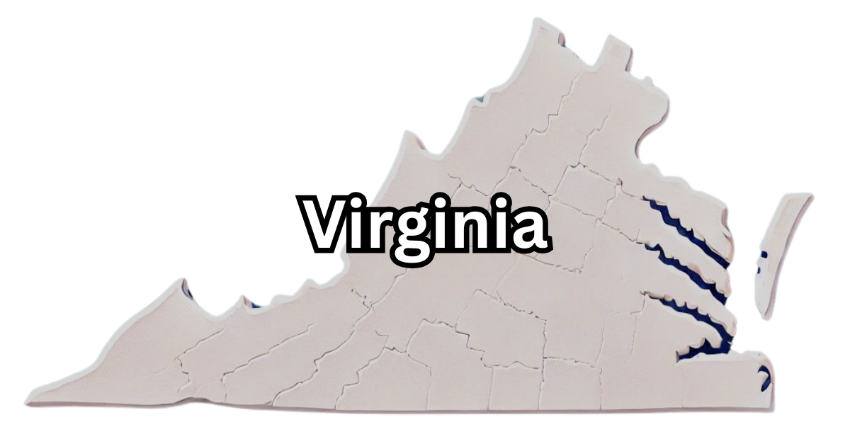 How much does an LLC cost in Virginia? (details)