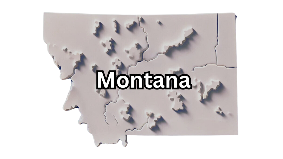 Instructions for Montana LLC Annual Report