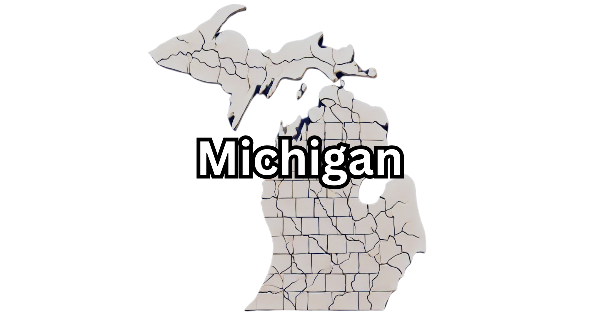 Michigan LLC Annual Report (Annual Statement)