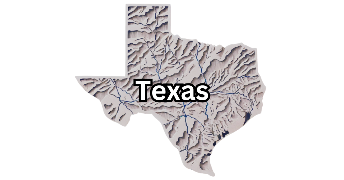 Texas Franchise Tax Guide (2024)