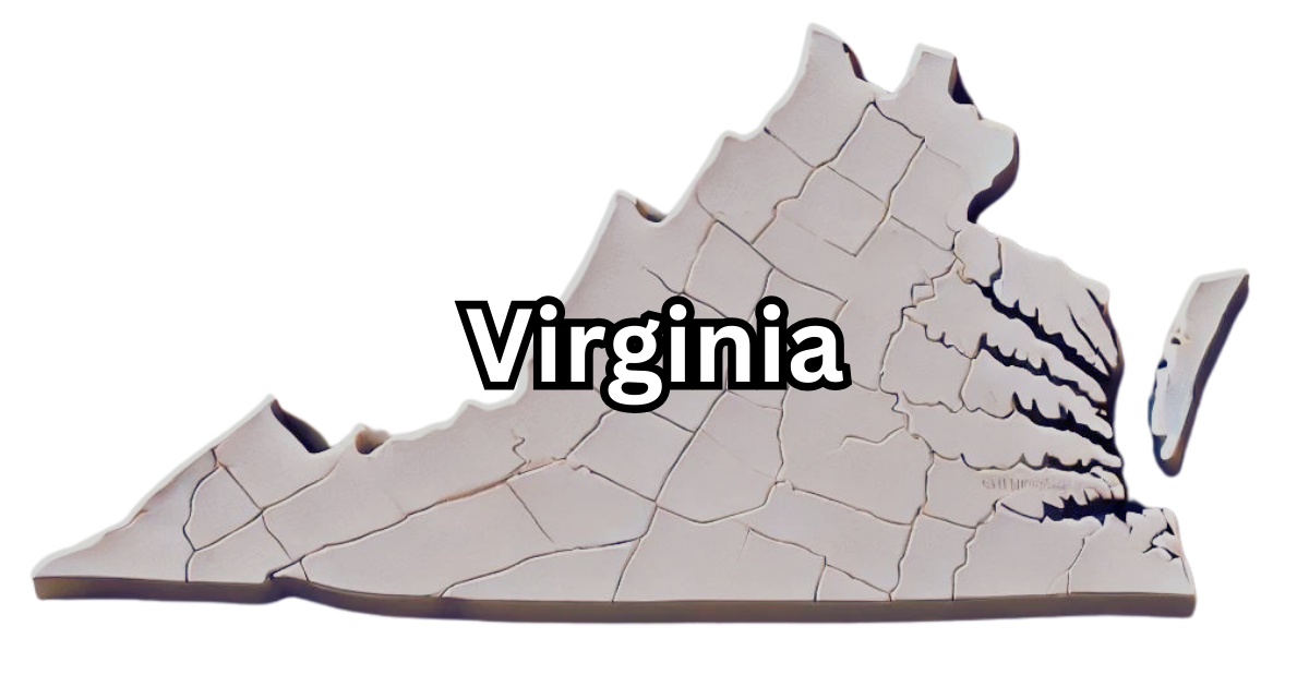 Virginia Registered Agent: LLC Guide