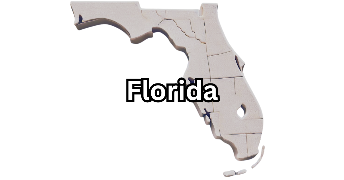 Florida Registered Agent: LLC Guide