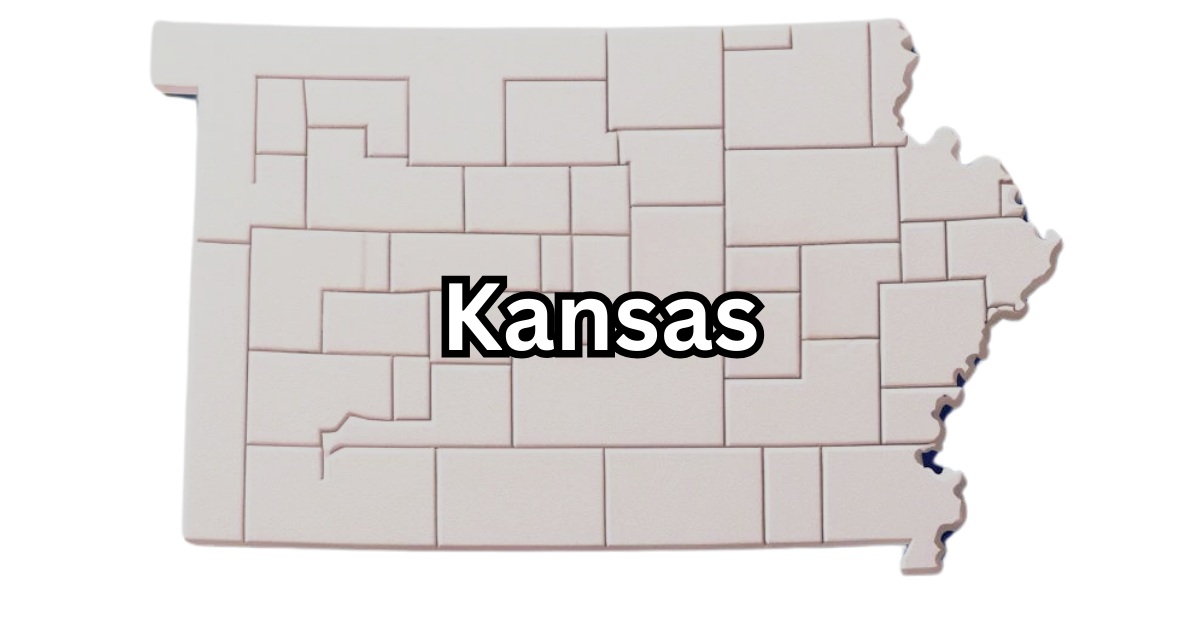Kansas Registered Agent: LLC Guide