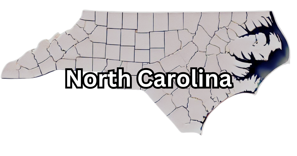 North Carolina Registered Agent: LLC Guide