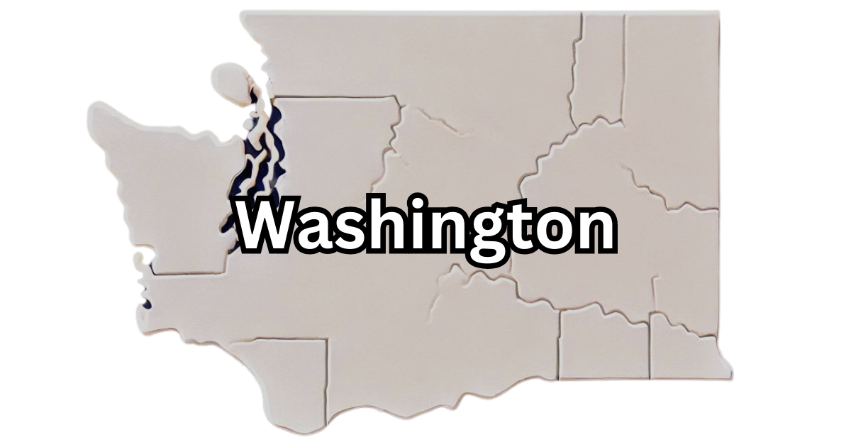 Washington Registered Agent: LLC Guide