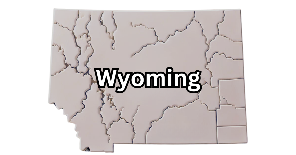 Wyoming Registered Agent: LLC Guide