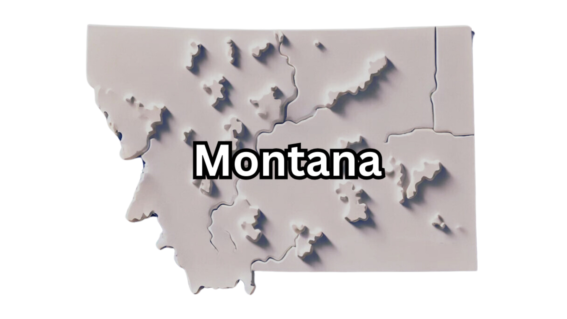 Montana Business Name Search (LLC Lookup) – Guide