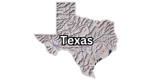 Texas Franchise Tax Guide (2024)